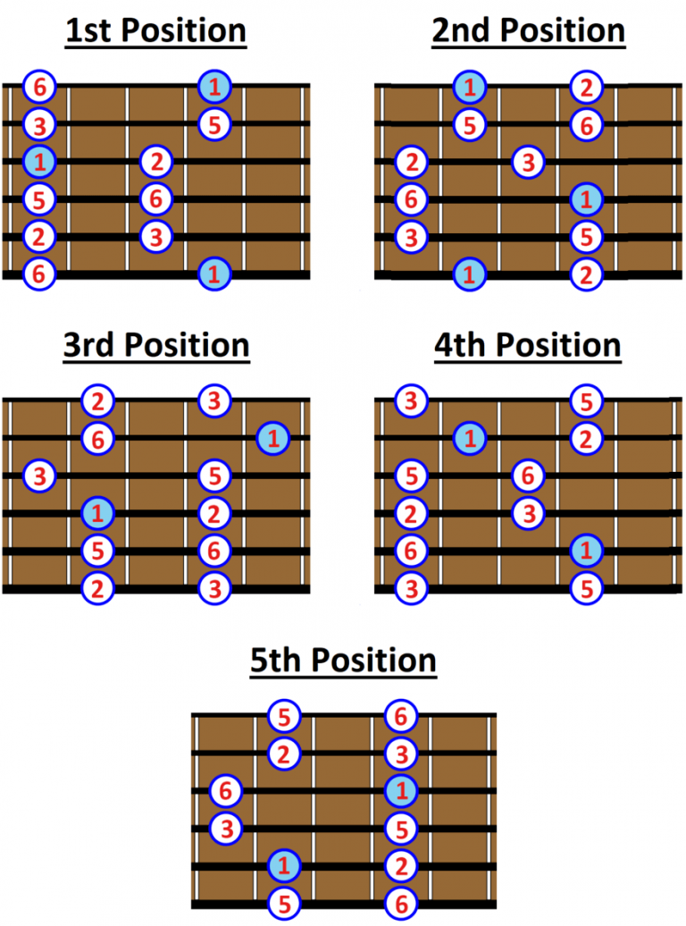 The Major Pentatonic Scale Notes and 5 Positions