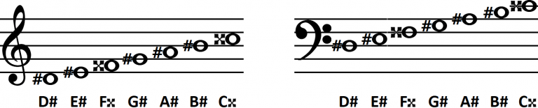 D MAJOR SCALE: What is it and How to play it on Guitar